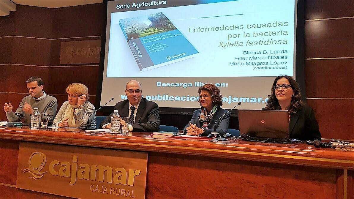 Cajamar Xylella|JTA BXF|trees-2603108_960_720|tree-1754051_960_720